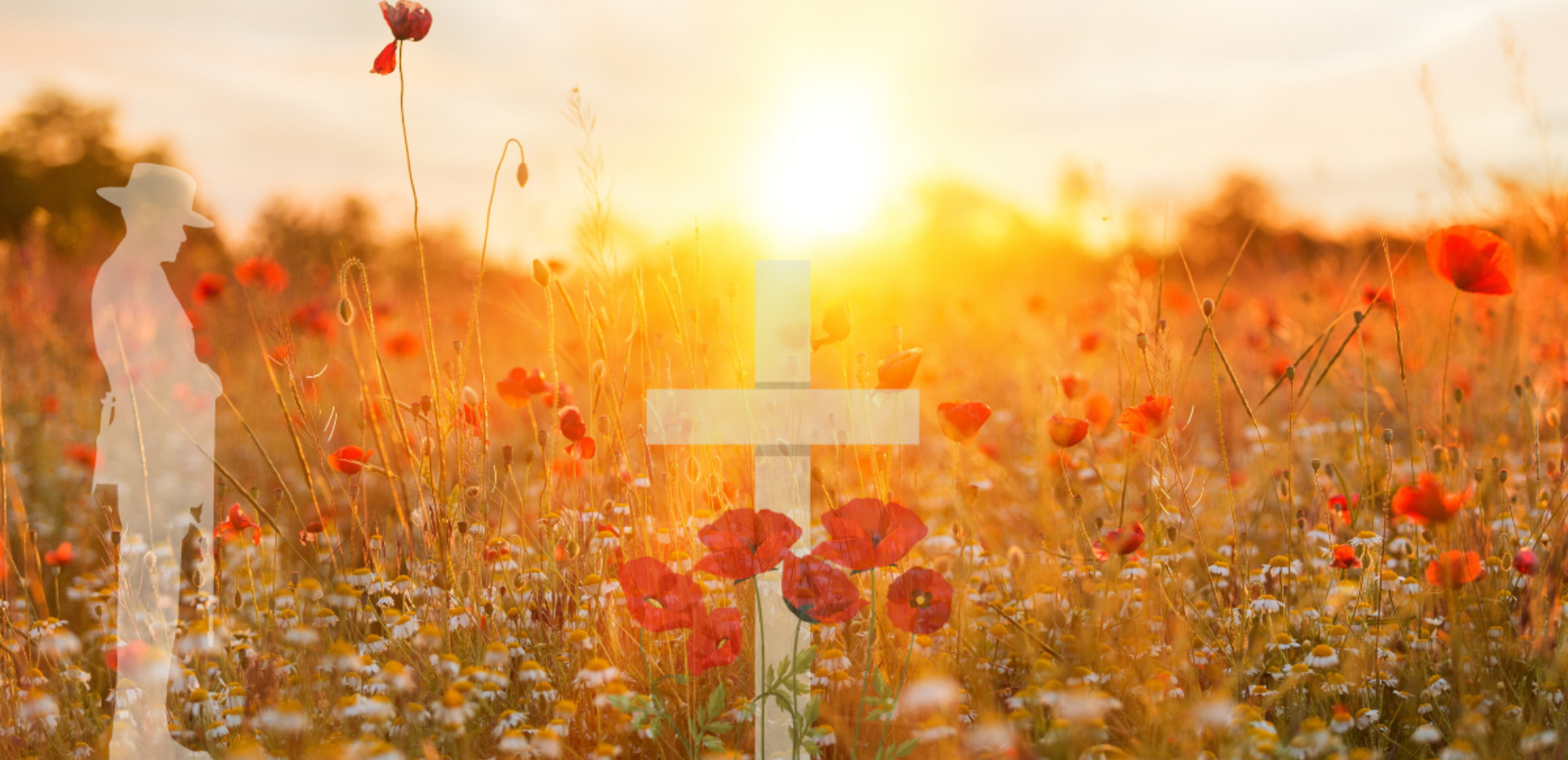 Image of poppies with the sunrise, over lay of ANZAC soldier standing on the side
