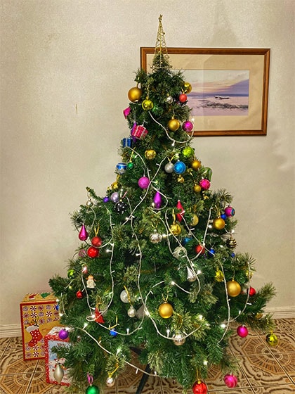 Horizon House Christmas tree